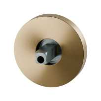 GPF1100.P4.0400 Rose 50x8mm PVD brass satin with welded knob fastener