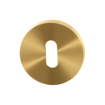 Keyhole escutcheon GPF0901.00P4 50x8mm PVD satin brass